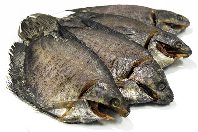 khocasc
