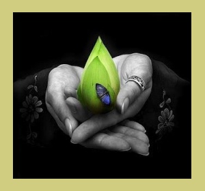 lotus in hands