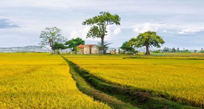 ve dep binh di
