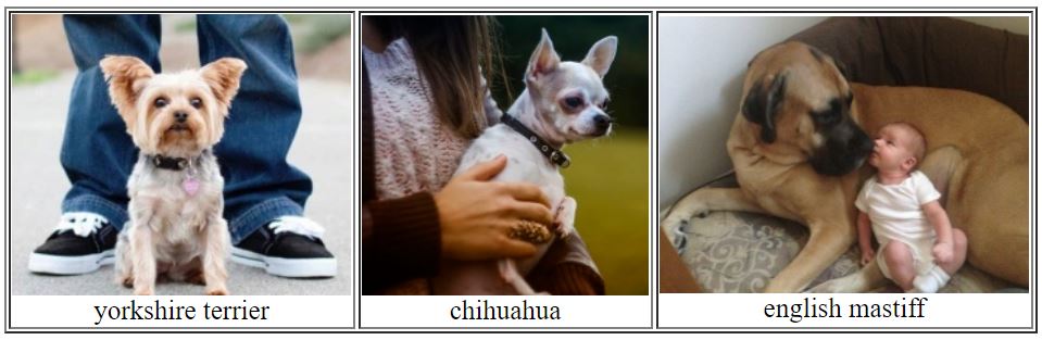 cho1