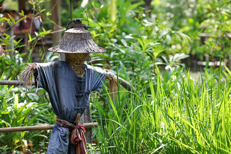 nguoirom