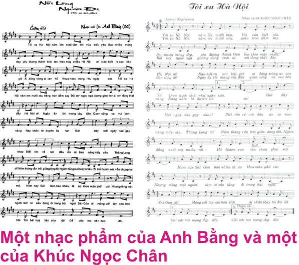9 noi long 5