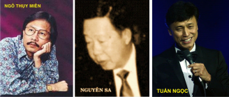 Ngothuymiennguyensatuanngoc