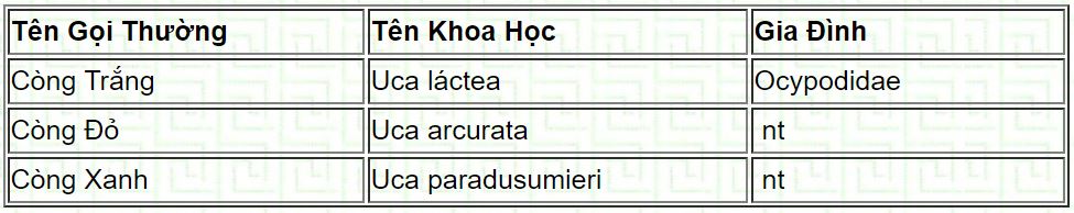 cua10