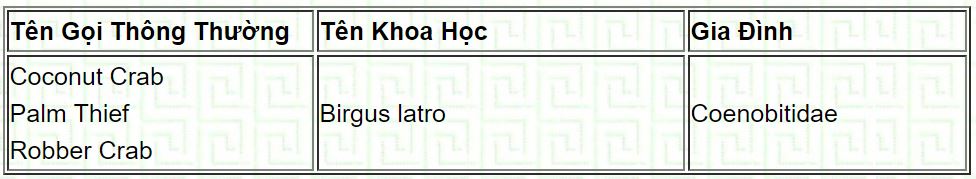 cua5