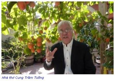 cungtramtuong content content