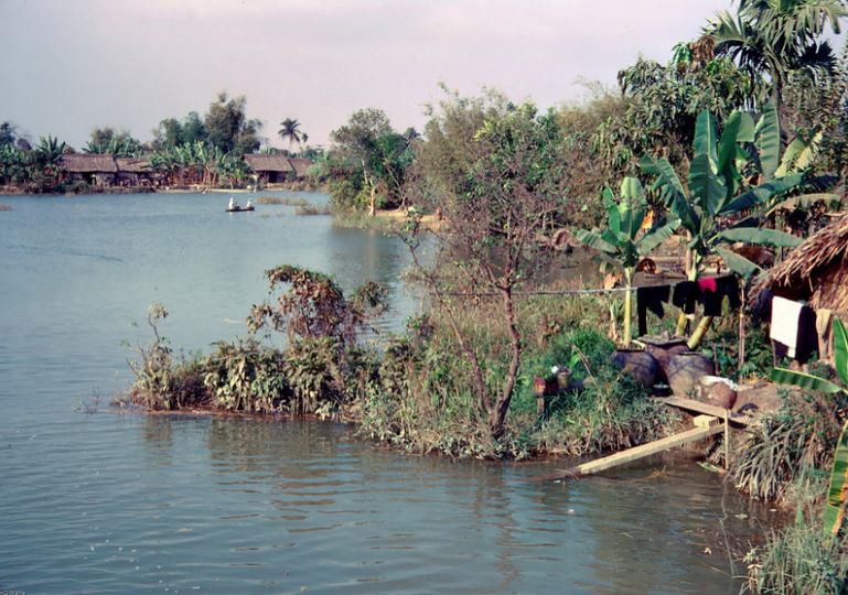 dongsongnhuoctieu