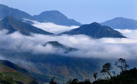 maytrang