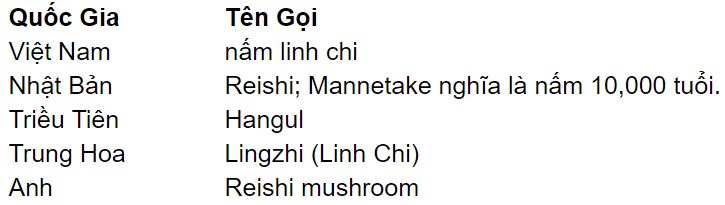 namlinhchi