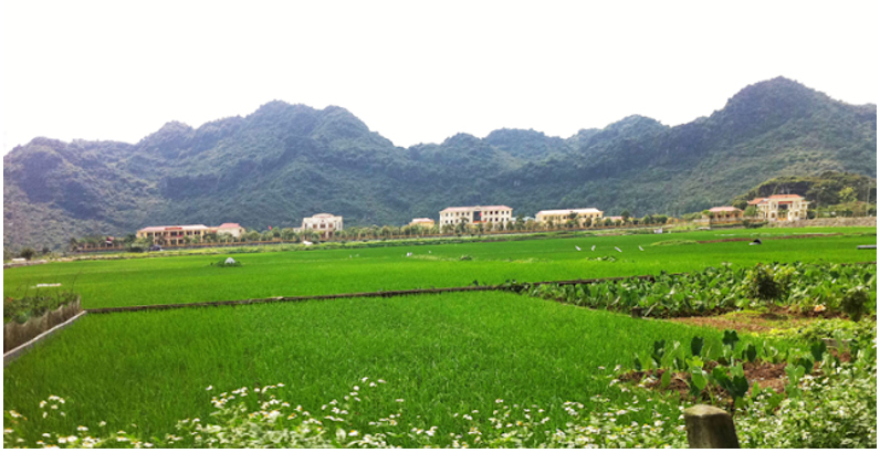 07 a vinh