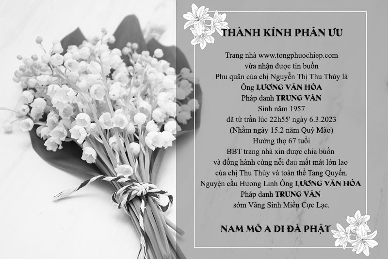 TPHchiabuon1