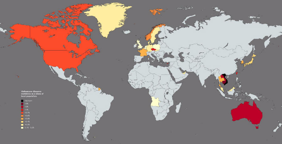Vietnamese Diaspora 1 small