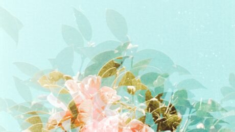 annie spratt VtAy7t8zPz4 unsplash 460x259