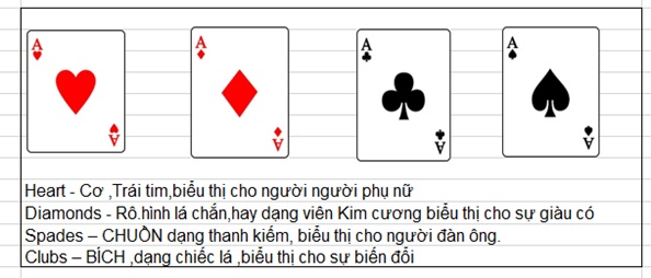 baichoi2 2