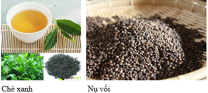 chexanhvanuvoi