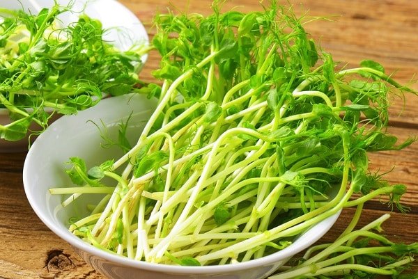 choi dau ha lan