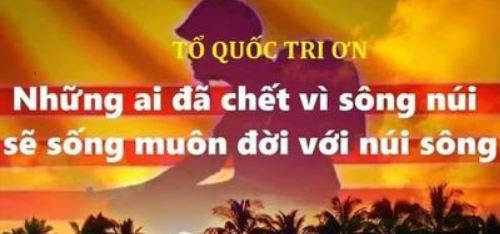 cuoithangtumatnuoc
