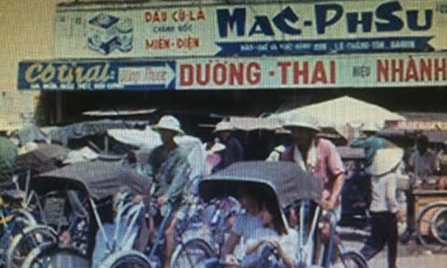 dau cu la mac phsu tai xuat2
