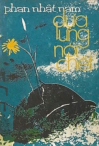 dualungnoichet