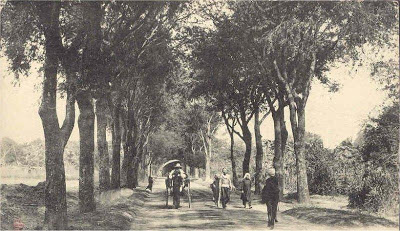 duong thien ly 10