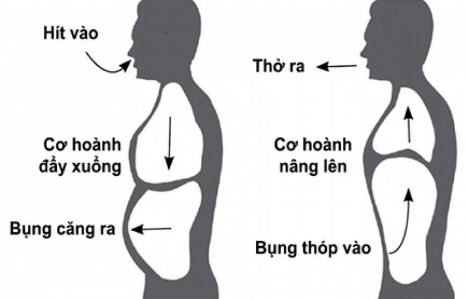 hittho