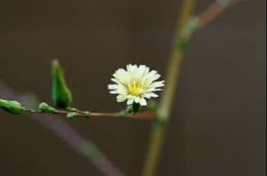 hoadongnoi