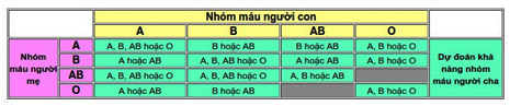 LeAnh TaiSaoPhaiChiaRaNhomMau 08