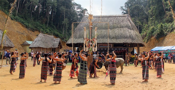 lehoicotu
