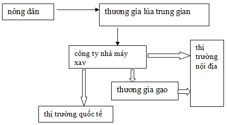 luagaosaigoncholon 3 1