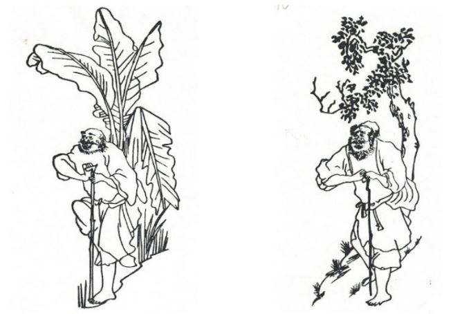 muccanh