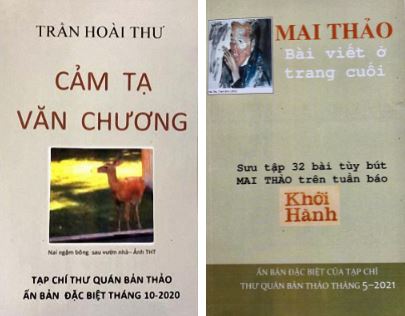 ngothevinh13