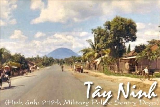 tayninh