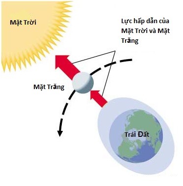 thuytrieu2