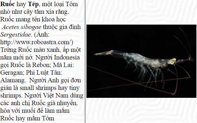 tomruoctep