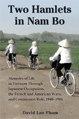 two hamlets in nam bo