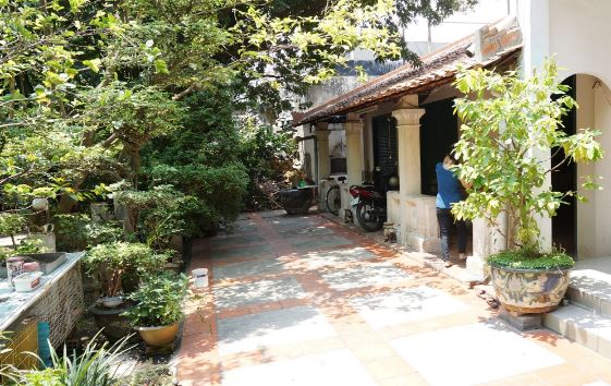 langongbachieu4