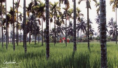 lequangxuan