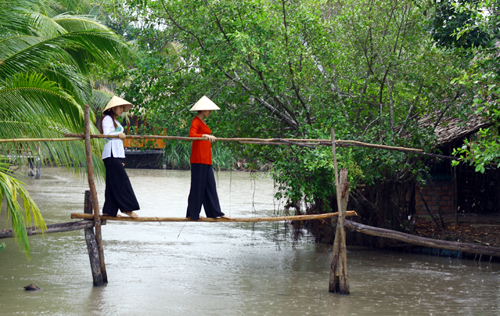mien tay