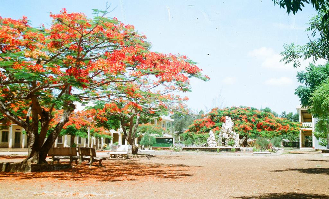 nangha