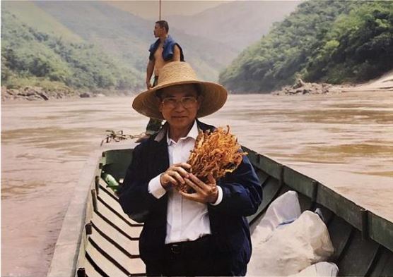 ngothevinh