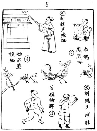 nguyendu4