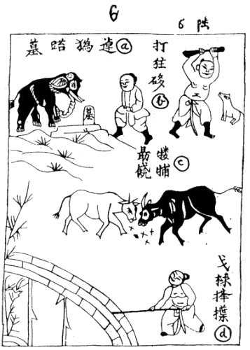 nguyendu5