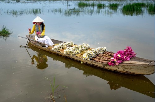 nkthiet3