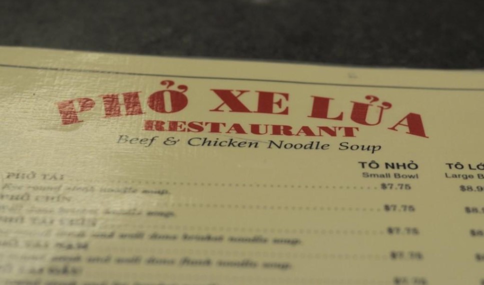 phoxelua