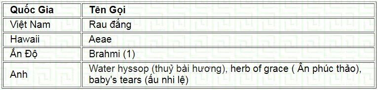raudang