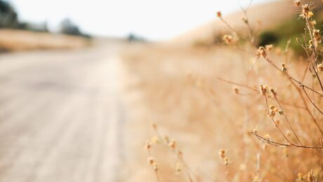 sixteen miles out 21hSIghLoRw unsplash 460x259