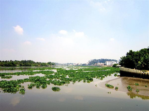 song sai gon