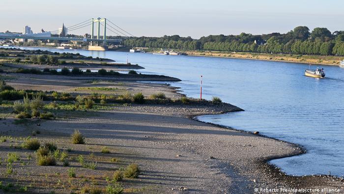 song rhine duc