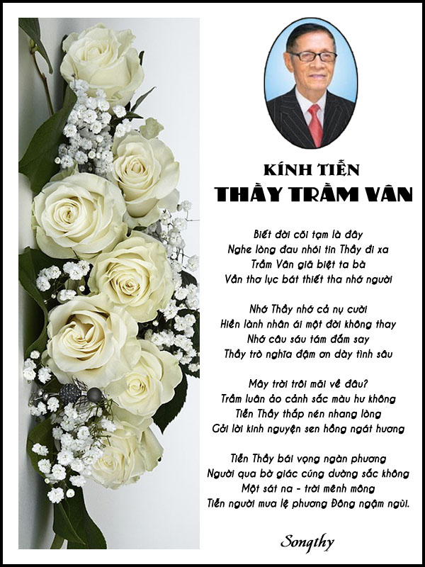 songthytienthayTramVan1c