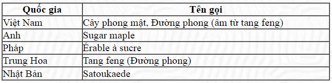 thaomocdungsanxuatduong 11